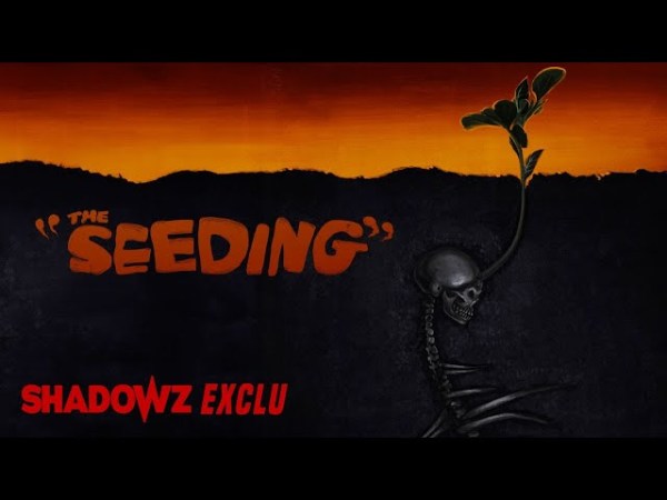 Retour sur … The&nbsp;Seeding